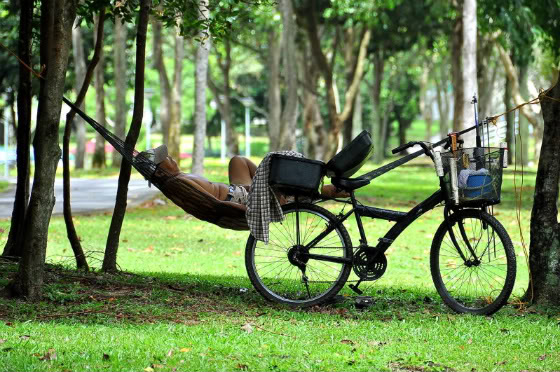 Pho-to: In A Hammock