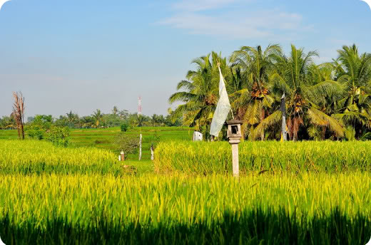 Bali: From Ubud With Love