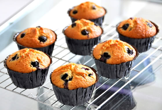 Blueberry Muffins & Sea Cucumber Gunk