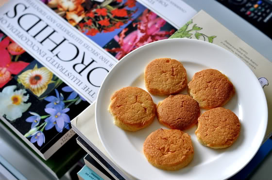 Baking Sables